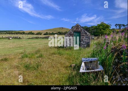 Grenzlandschaft an den Halmyre Mains bei West Linton in den Scottish Borders Stockfoto