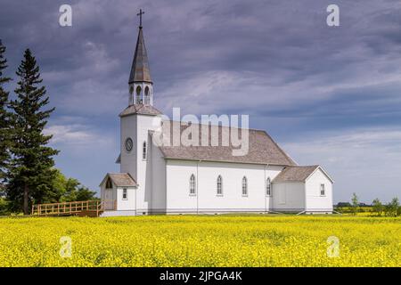 Die römisch-katholische Kirche St. Therese mit Rapsfeld. Notre-Dame-de-Lourdes, Manitoba, Kanada. Stockfoto