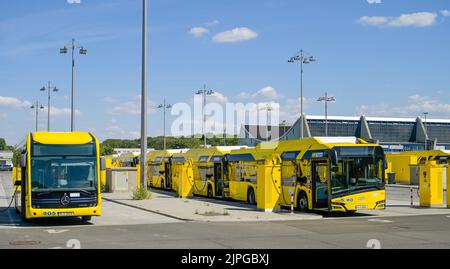 E-Ladesäulen, BVG Busbetriebshof, Indira-Gandhi-Straße, Hohenschönhausen, Lichtenberg, Berlin, Deutschland Stockfoto