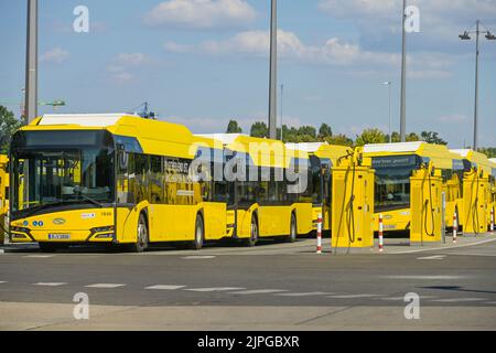 E-Ladesäulen, BVG Busbetriebshof, Indira-Gandhi-Straße, Hohenschönhausen, Lichtenberg, Berlin, Deutschland Stockfoto