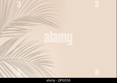 Schatten tropischer Blätter auf einem pastellbeigen Hintergrund. Minimales Sommerkonzept mit Palmenblättern. Kreative Zeichnung von Licht und Schatten. Stockfoto