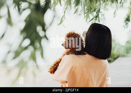 Junge Brünette Frau hält sich an den Händen und umarmt ihren kleinen rothaarigen Hund Rasse Spielzeug Pudel Stockfoto