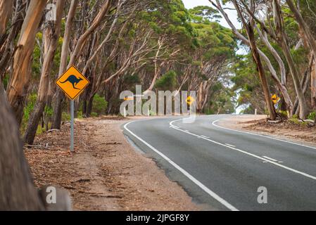 Kangaroo Warnschild an der Landstraße an einem Tag, Kangaroo Island, Südaustralien Stockfoto