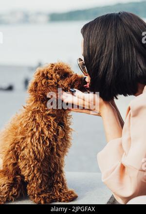 Brünette Frau küsst ihr kleines Haustier, Rotschopf Hund Rasse Spielzeug Pudel im Freien Stockfoto