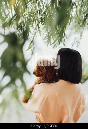 Junge Brünette Frau hält sich an den Händen und umarmt ihren kleinen rothaarigen Hund Rasse Spielzeug Pudel Stockfoto