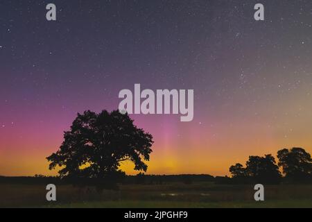 Sternenhimmel mit Licht Aurora borealis leuchtet Stockfoto