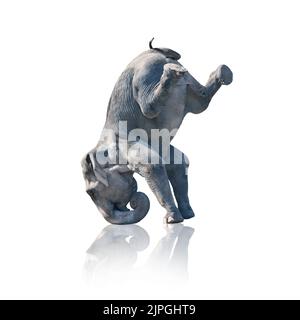 Elefant, Kopfstand, Elefanten, Kopfstand Stockfoto