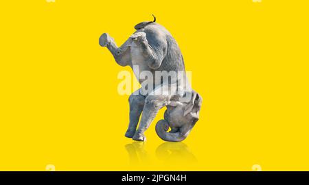 Elefant, Kopfstand, Elefanten, Kopfstand Stockfoto