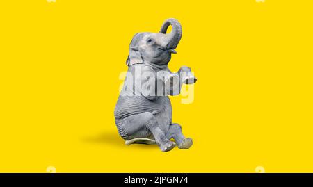 Elefant, Kunstwerk, Zirkus, Elefanten, Kunstwerke Stockfoto