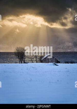 Einsames Haus auf Godøy im Winter, Sunnmøre, Møre Og Romsdal, Norwegen. Stockfoto