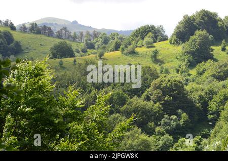 Parco Nazionale dell'Appennino Tosco-Emiliano, ein üppig bewaldeter und bergiger Nationalpark in Norditalien Stockfoto