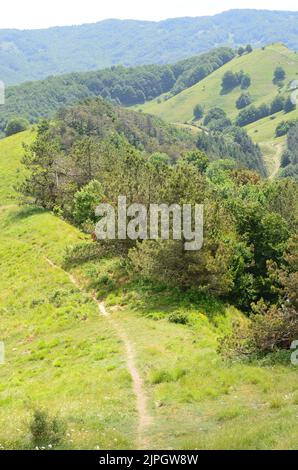 Parco Nazionale dell'Appennino Tosco-Emiliano, ein üppig bewaldeter und bergiger Nationalpark in Norditalien Stockfoto