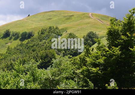 Parco Nazionale dell'Appennino Tosco-Emiliano, ein üppig bewaldeter und bergiger Nationalpark in Norditalien Stockfoto