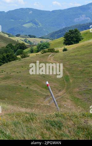 Parco Nazionale dell'Appennino Tosco-Emiliano, ein üppig bewaldeter und bergiger Nationalpark in Norditalien Stockfoto