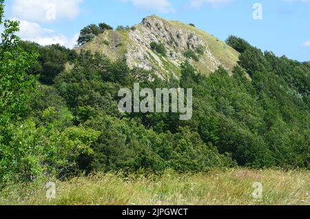 Parco Nazionale dell'Appennino Tosco-Emiliano, ein üppig bewaldeter und bergiger Nationalpark in Norditalien Stockfoto