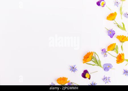 Rahmen aus Ringelblume, Viola, Borretblume auf weißem Hintergrund. Draufsicht. Flaches Lay-Muster, essbare Blume Stockfoto