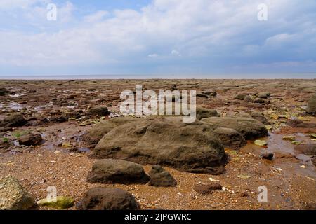 Felsen, Muscheln und Kieselsteine bedecken den Strand von Hunstanton bei Ebbe. Stockfoto