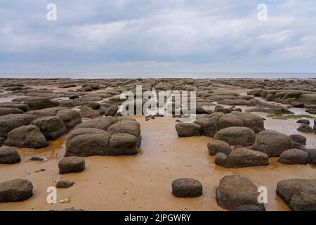 Ein Teppich aus abgeflachten, moosbedeckten Felsen am Strand von Hunstanton bei Ebbe. Stockfoto