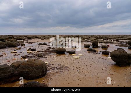 Reihen von moosbedeckten Felsen am Strand von Hunstanton an einem bewölkten Sommertag. Stockfoto