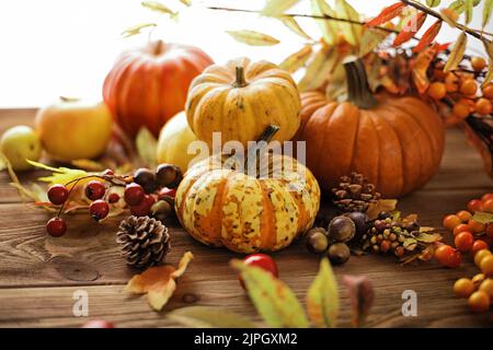 Stillleben, Herbstschmuck, Stillleben, Herbstschmuck Stockfoto