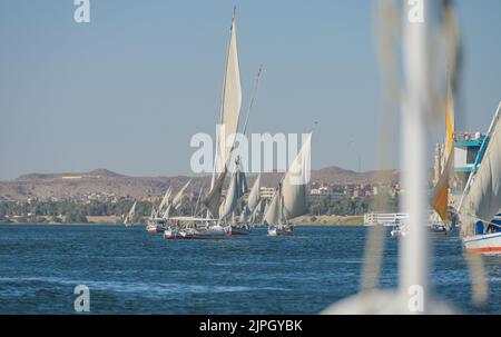 Segelschiffe, Ausflugboote auf dem Nil bei Assuan, Ägypten Stockfoto