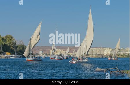 Segelschiffe, Ausflugboote auf dem Nil bei Assuan, Ägypten Stockfoto