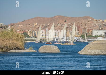 Segelschiffe, Ausflugboote auf dem Nil bei Assuan, Ägypten Stockfoto