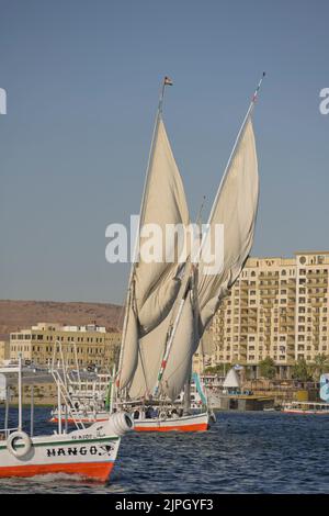 Segelschiffe, Ausflugboote auf dem Nil bei Assuan, Ägypten Stockfoto