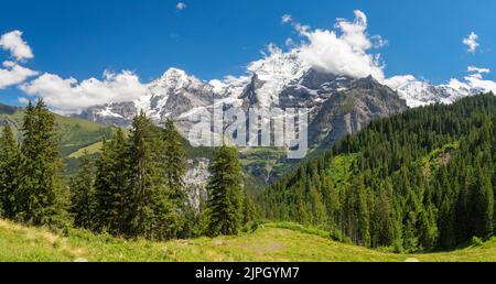 Das Panorama der Berner alpen mit der Jungfrau, dem Mönch und dem Eiger. Stockfoto