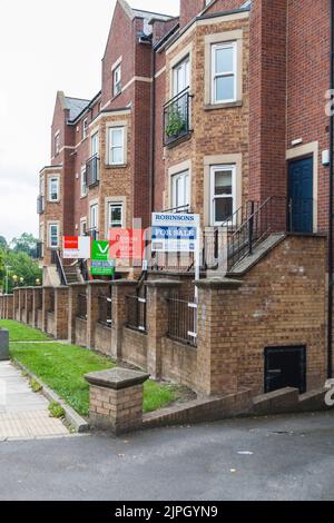 Häuser / Wohnungen / Wohnungen zum Verkauf oder zum Let Schilder auf der Victoria Road in Darlington, England, Großbritannien Stockfoto