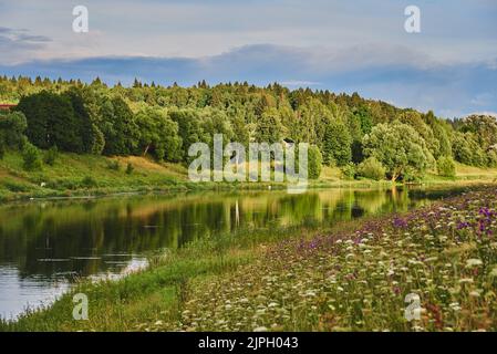 Helle Sommerlandschaft. Der Fluss fließt zwischen den blühenden Ufern. Stockfoto