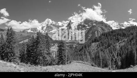 Das Panorama der Berner alpen mit der Jungfrau, dem Mönch und dem Eiger. Stockfoto