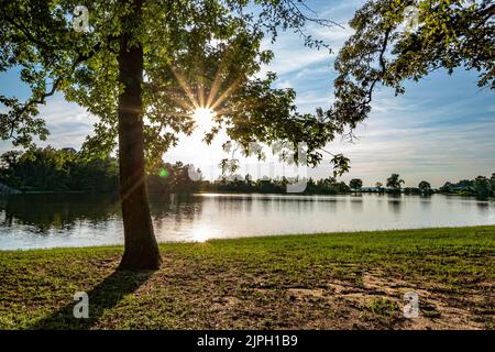 Im Spätsommer spätet die Sonne durch Baumzweige, während sie auf einem ruhigen See untergeht. Stockfoto