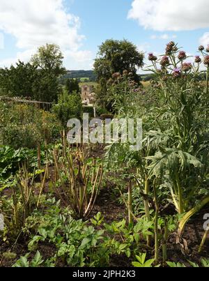 Blick auf die Schrebergärten in Chatsworth Gardens, Derbyshire. Das Haus ist im Hintergrund. Stockfoto