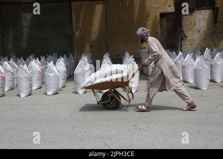 (220818) -- KABUL, 18. August 2022 (Xinhua) -- Ein Mann erhält von China gespendete Nahrungsmittelhilfe in Kabul, Afghanistan, 17. August 2022. Insgesamt 1.100 bedürftige afghanische Familien erhielten am Mittwoch in der Hauptstadt Kabul Nahrungsmittelhilfe, sagte Mufti Habibullah, ein hochrangiger Beamter des afghanischen Ministers für Flüchtlinge und Rückführungen. Die humanitäre Hilfe der chinesischen Regierung wird an insgesamt 1.100 Haushalte verteilt, darunter Binnenvertriebene, bedürftige Familien und Menschen, die von einer Naturkatastrophe, insbesondere den jüngsten schweren Regenfällen und Überschwemmungen, betroffen waren, sagte Habibullah gegenüber Xi Stockfoto