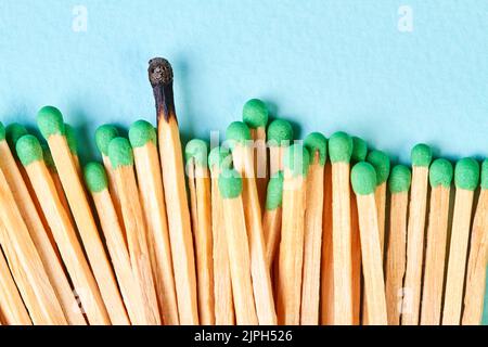 Nahaufnahme einer Gruppe von Streichhölzern mit grünen Köpfen und einem verbrannten Streichhölzer auf blauem Hintergrund Stockfoto