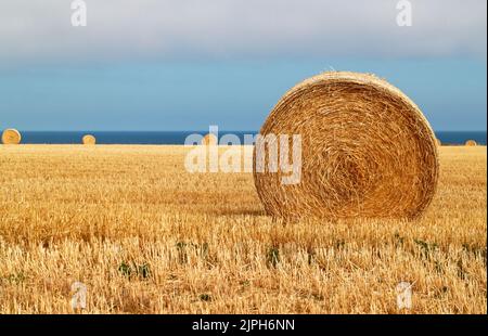 Ackerland mit runden Strohballen nach der Ernte im Sommer an der North Norfolk Küste in Salthouse, Norfolk, England, Vereinigtes Königreich. Stockfoto