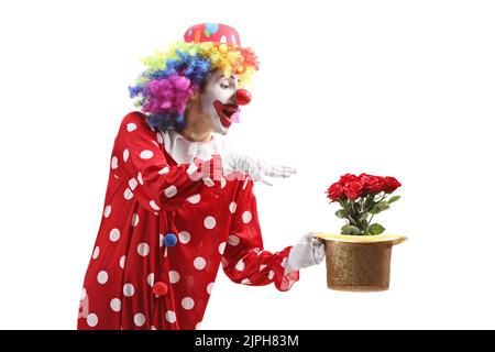 Clown, der einen Zaubertrick mit einem Hut und roten Rosen auf weißem Hintergrund isoliert Stockfoto