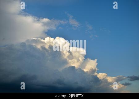 Grau-weiße Cumulus-Wolken, Himmelsansicht (Landschaft) Stockfoto