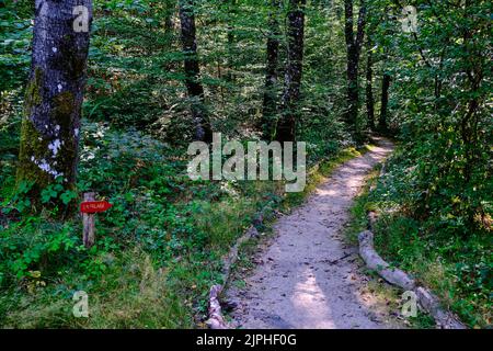 Frankreich, Indre, Crevant, Parelles Park Stockfoto