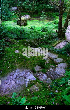 Frankreich, Indre, Crevant, Parelles Park Stockfoto