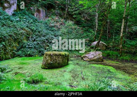 Frankreich, Indre, Crevant, Parelles Park Stockfoto