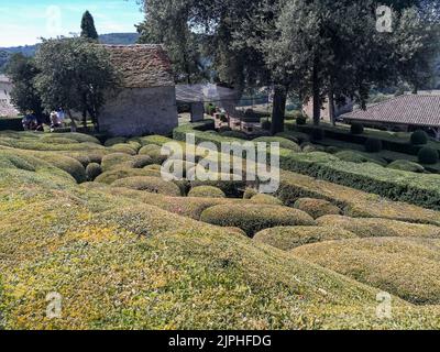 (C) Denis TRASFI/MAXPPP - à Vézac le 08-08-2022 - Les jardins de Marqueyssac - Buis du jardin taillés Stockfoto