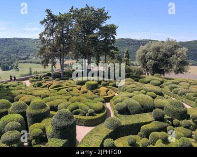 (C) Denis TRASFI/MAXPPP - à Vézac le 08-08-2022 - Les jardins de Marqueyssac - Buis du jardin taillés Stockfoto