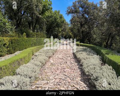 (C) Denis TRASFI/MAXPPP - à Vézac le 08-08-2022 - Les jardins de Marqueyssac - Allée dans le jardin Stockfoto