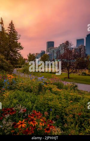 Sonnenaufgang über Einem Downtown Calgary Summer Park Stockfoto