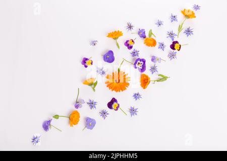 Rahmen aus Ringelblume, Viola, Borretblume auf weißem Hintergrund. Draufsicht. Flaches Lay-Muster, essbare Blume Stockfoto
