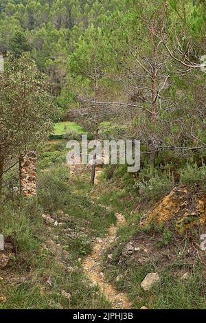 Jinquer, Castellon, Spanien. Häuser in Ruinen eines verlassenen Dorfes in der Mitte der Vegetation.Berg, Gruppe von Häusern. Straßen, Spanischen Bürgerkrieg Stockfoto