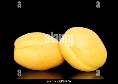 Zwei leuchtend gelbe saftige Ananas-Aprikosen, Makro, isoliert auf schwarzem Hintergrund. Stockfoto