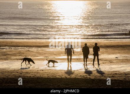 Drei Freunde gehen bei Sonnenuntergang am Meer in Croyde Bay England mit ihren Hunden Stockfoto